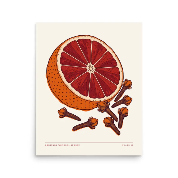 The Blood Orange & Clove Art Print in Unframed.