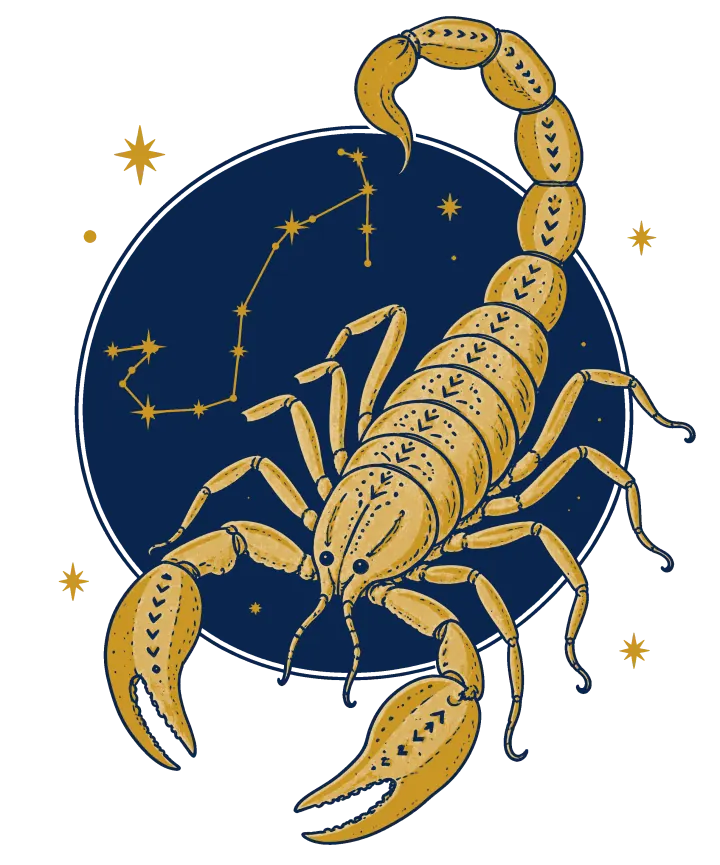 Print artwork: a gold scorpion with its tail curled high over its back and its pincers open, covered in navy folk marks, crawling across a navy circle of night sky with a constellation drawn in it.