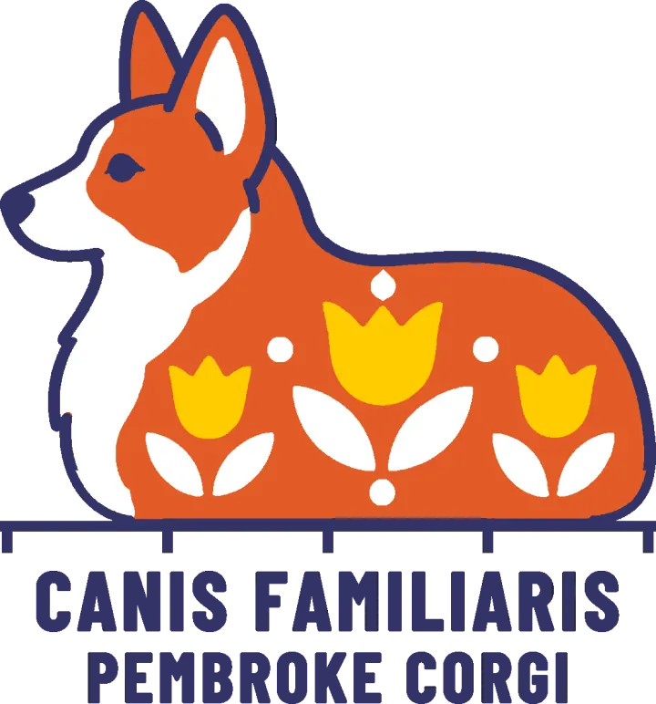 Embroidery artwork: a Pembroke Welsh corgi lying down like a loaf in side profile, facing left, its orange coat patterned with three gold tulips on white leaves and four white dots, with white on its muzzle, chest and inner ear and a navy outline. It rests on a navy measuring rule over the words CANIS FAMILIARIS and PEMBROKE CORGI.