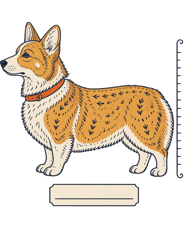 Print artwork: a Pembroke Welsh corgi standing in side profile, its orange and white coat covered in a navy folk pattern of arrows and dots, wearing a red collar, beside an upright measuring stick and above a blank name card.