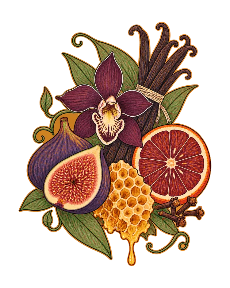 AI-generated cover art: a dark plum orchid, a bundle of vanilla pods, a split fig, a piece of dripping honeycomb and half a blood orange with cloves, grouped closely.