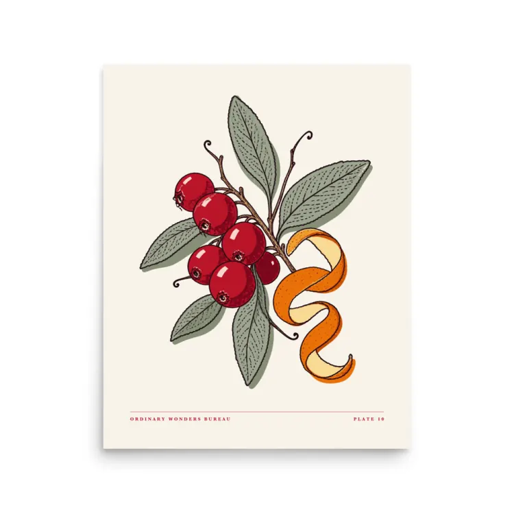 The Cranberry & Sage Art Print in Unframed.