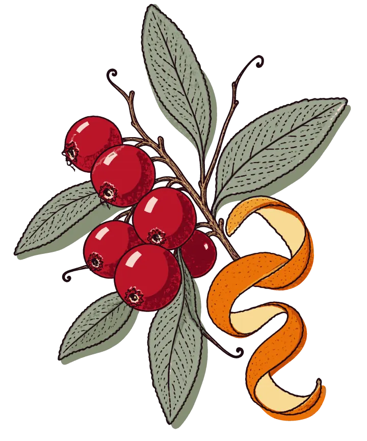 Print artwork: a cluster of glossy red cranberries on a thin branching stem, with long grey-green sage leaves behind them and a curl of orange peel twisting down beside them.