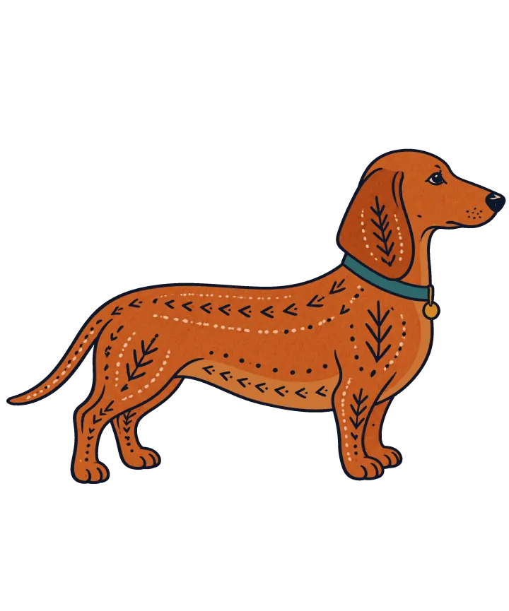 Print artwork: a red dachshund standing in side profile, its long body covered in a folk pattern of arrows and dotted lines, wearing a teal collar with a small gold tag.