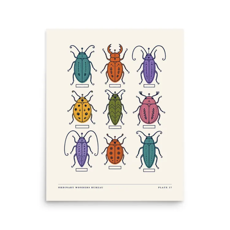 The Nine Beetles Art Print in Unframed.