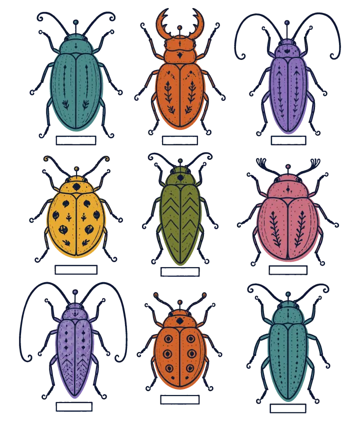 Print artwork: nine beetles of different kinds pinned in a three-by-three grid like a museum drawer, in teal, rust, violet, gold, olive and pink, each with its own folk pattern on its back and a blank label beneath.
