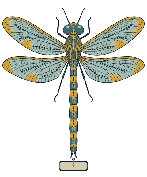 The print on the chosen shirt color, at its printed size.