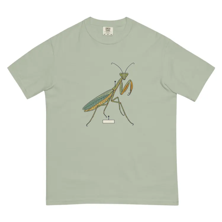 The Praying Mantis Tee in Bay.