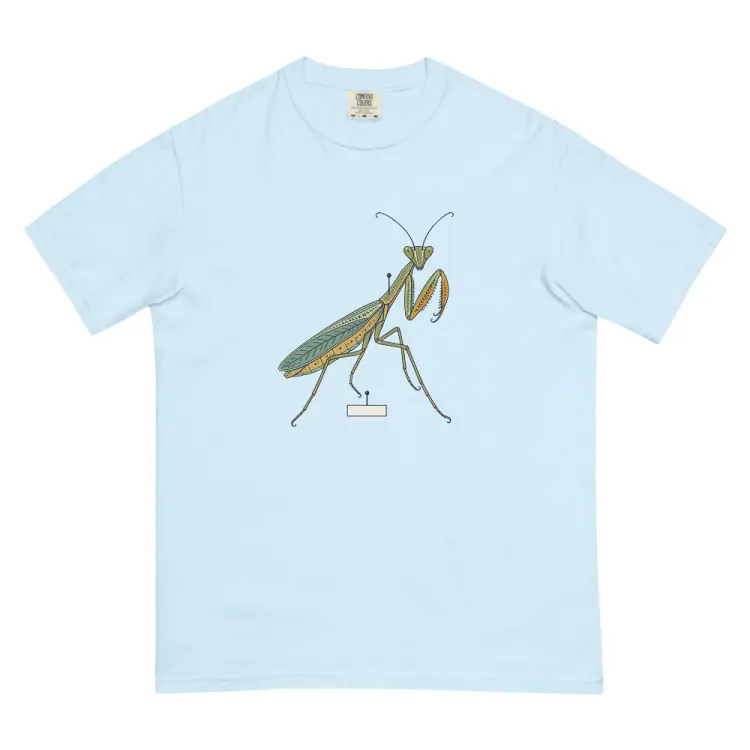 The Praying Mantis Tee in Chambray.