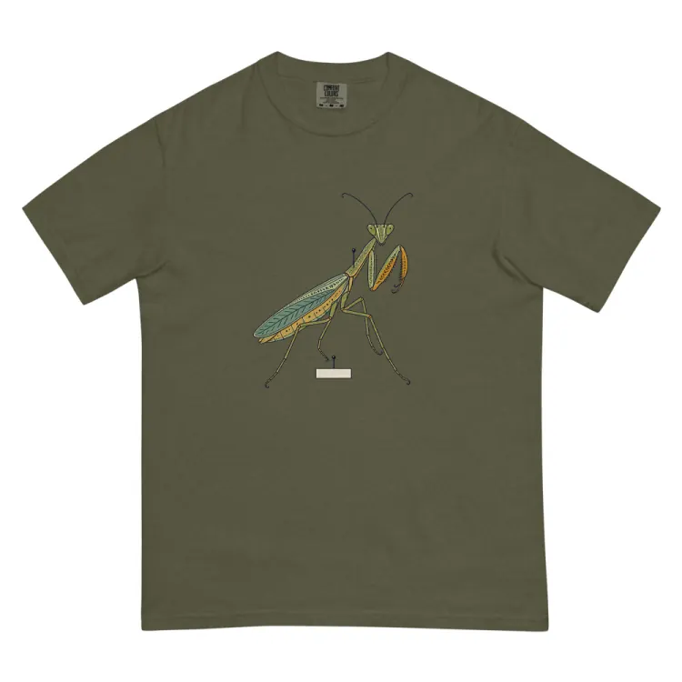 The Praying Mantis Tee in Sage.