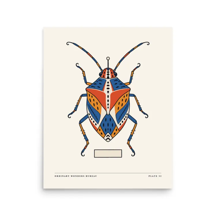 The Picasso Bug Art Print in Unframed.