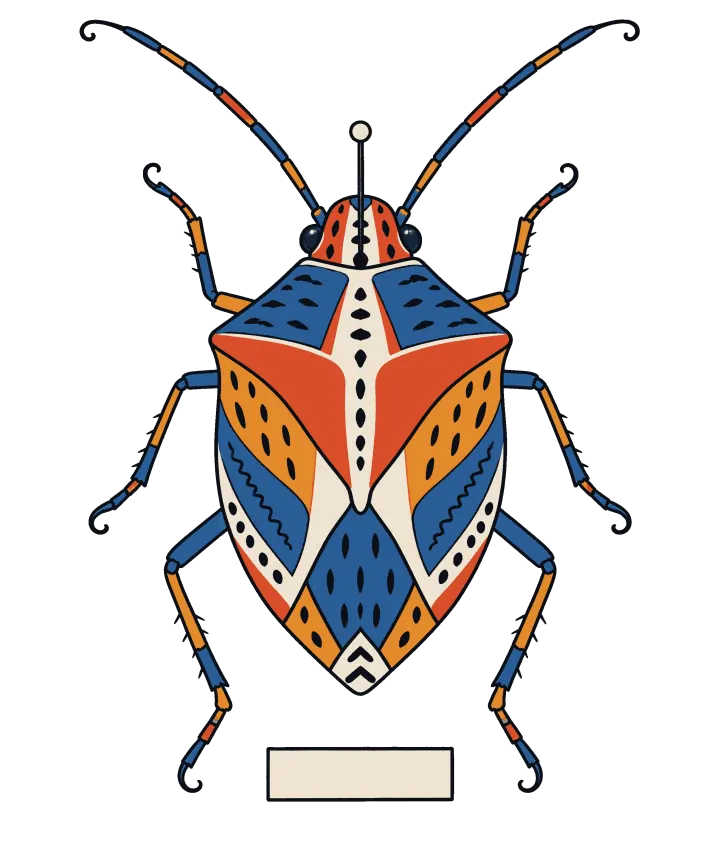 Print artwork: a Picasso bug, a kind of shield bug, seen from directly above, its shield-shaped back painted in bold patches of blue, orange, red and cream outlined in black and dotted with small marks, with long banded antennae, pinned above a blank label.