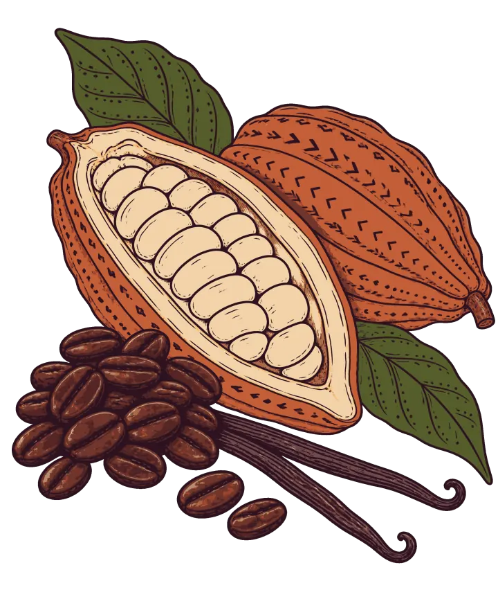 Print artwork: a cacao pod split open to show its pale seeds, with a whole pod behind it and two leaves, a small heap of glossy espresso beans and two vanilla pods.