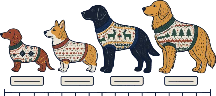 Print artwork: four dogs standing in a row in side profile, all facing left, from smallest to largest: a red dachshund, a corgi, a black Labrador and a golden retriever. Each wears its own fair-isle sweater, knitted with snowflakes, hearts, reindeer or pine trees. A small blank label sits under each dog, and a measuring scale runs under the whole row.