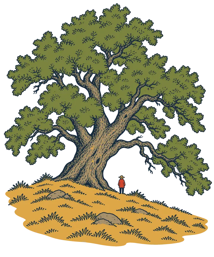 Print artwork: one huge old oak with a thick twisted trunk and a wide green crown on a dry golden hillside, with a tiny figure in a red coat and hat standing under its branches.