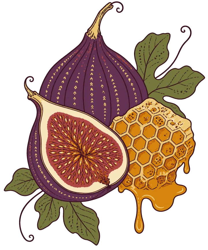 Print artwork: a whole purple fig and a fig cut in half to show its pink seeded inside, set against fig leaves, beside a piece of golden honeycomb with honey dripping off its lower edge.