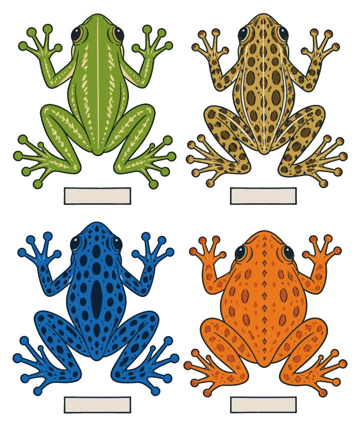 Print artwork: four frogs seen from above in two rows of two, each sitting flat with its feet spread wide above a blank label: a green tree frog with round toe pads, a spotted tan leopard frog, a blue poison dart frog with black spots and a round orange tomato frog.