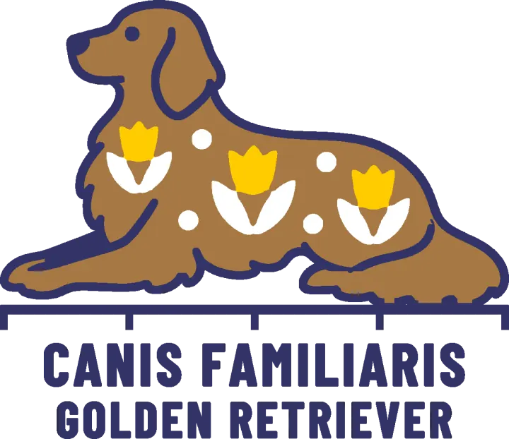 Embroidery artwork: a golden retriever lying down in side profile, facing left, head raised and front legs stretched out, its honey-brown coat patterned with three gold tulips on white leaves and four white dots, with a navy outline. It rests on a navy measuring rule over the words CANIS FAMILIARIS and GOLDEN RETRIEVER.