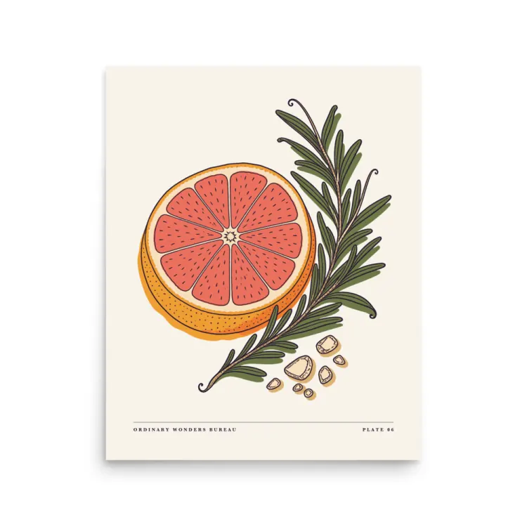 The Grapefruit & Rosemary Art Print in Unframed.