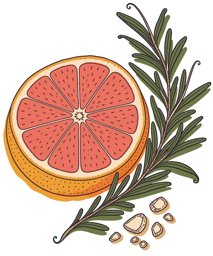 Print artwork: half a pink grapefruit cut to show its segments, beside a long sprig of rosemary and a few coarse salt crystals.