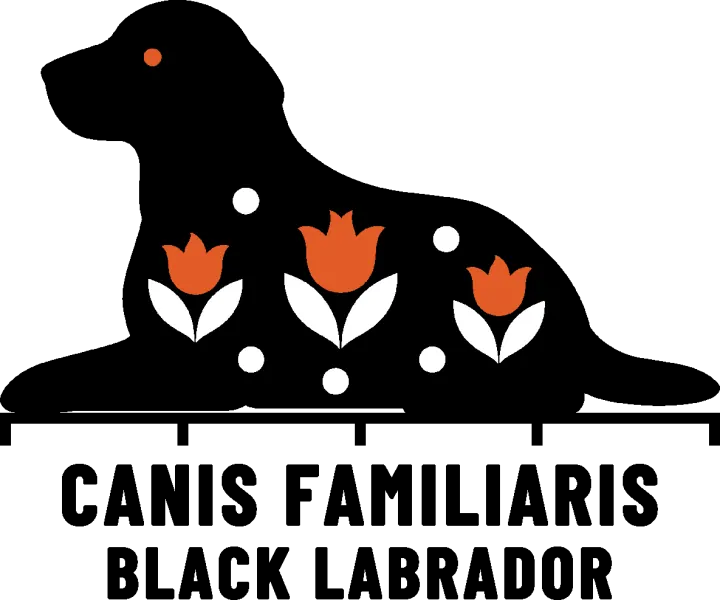 Embroidery artwork: a black Labrador lying down in side profile, facing left, head raised, one solid black shape with an orange eye, its coat patterned with three orange tulips on white leaves and five white dots. It rests on a black measuring rule over the words CANIS FAMILIARIS and BLACK LABRADOR.