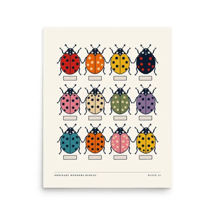 The Twelve Ladybugs Art Print in Unframed.