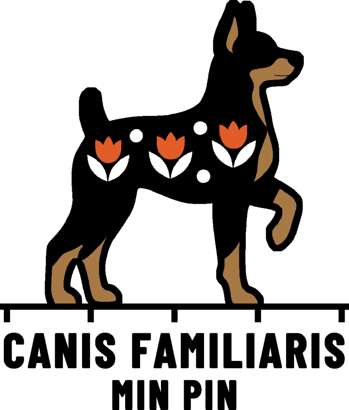 Embroidery artwork: a miniature pinscher standing alert in side profile, facing right, ears up and one front foot lifted, a black coat with tan on the muzzle, ear, throat, chest and lower legs, patterned with three orange tulips on white leaves and three white dots, and a black outline. It stands on a black measuring rule over the words CANIS FAMILIARIS and MIN PIN.