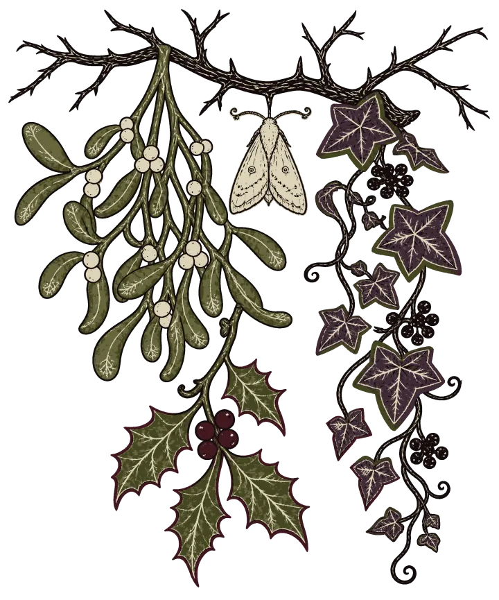 Print artwork: a bare, thorny black branch across the top with winter's poisonous greenery hanging from it: a clump of mistletoe with pale berries, a trailing strand of violet ivy with black berry clusters, and a sprig of holly with dark red berries, with one pale moth hanging under the branch.