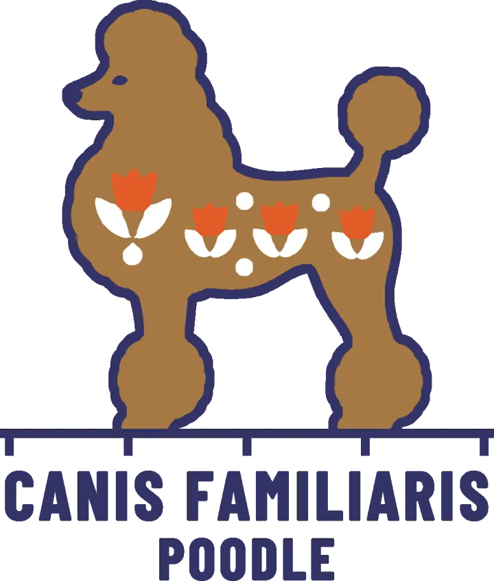Embroidery artwork: a standard poodle in a show clip standing in side profile, facing left, with pom-poms on its legs and the tip of its tail, a full mane and a topknot, its light brown coat patterned with four orange tulips on white leaves and four white dots, and a navy outline. It stands on a navy measuring rule over the words CANIS FAMILIARIS and POODLE.