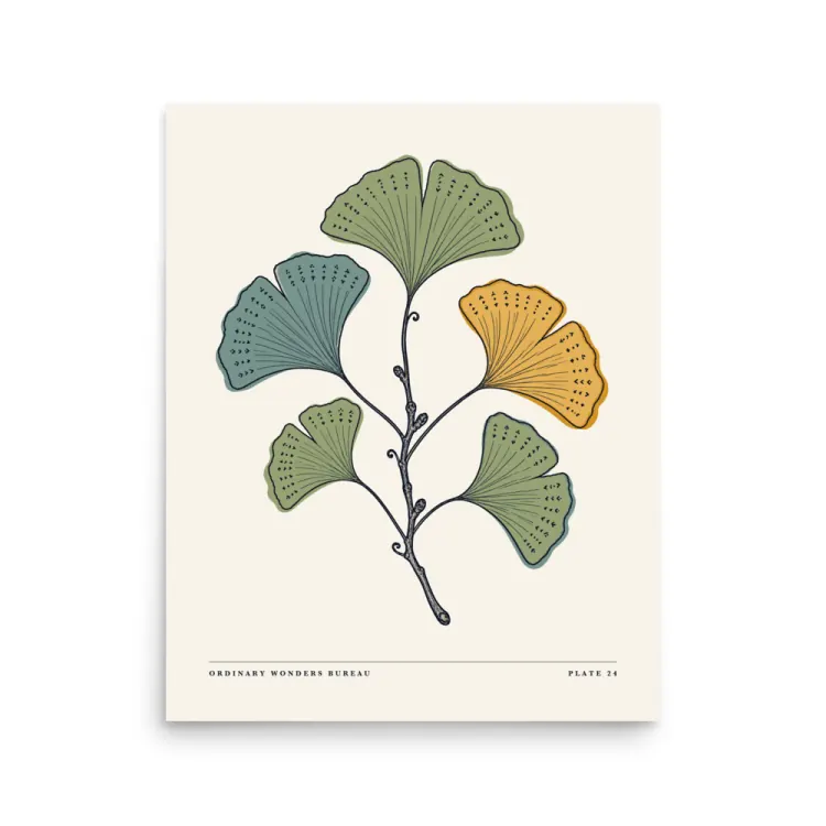 The Pressed Ginkgo Art Print in Unframed.