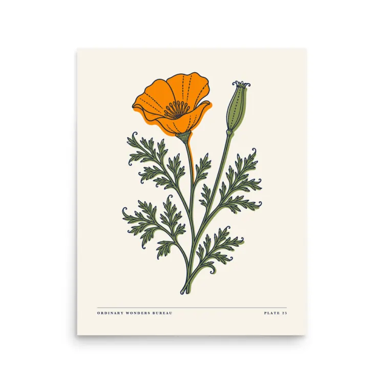 The Pressed Poppy Art Print in Unframed.