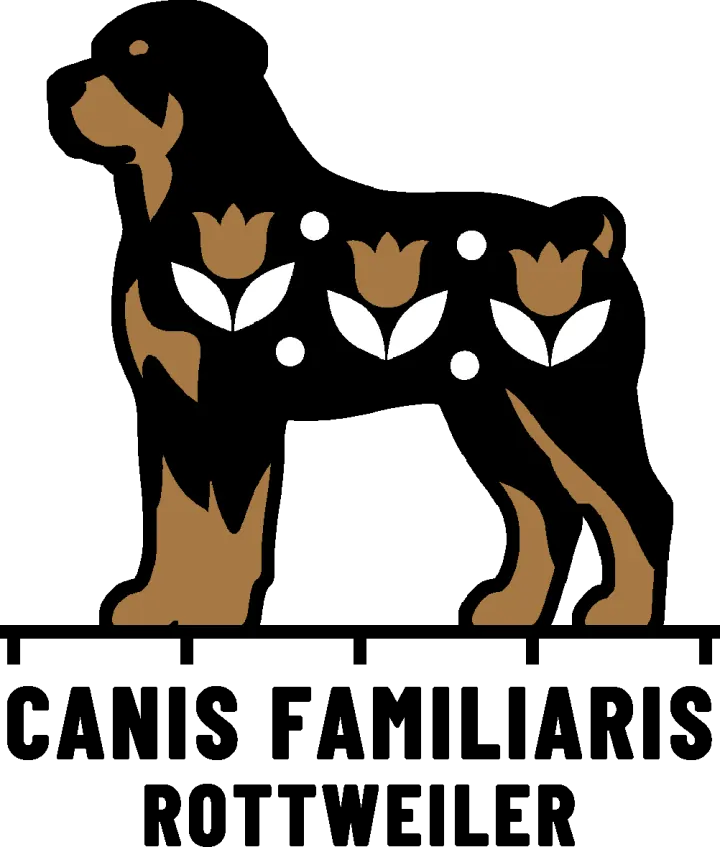 Embroidery artwork: a black Rottweiler standing calm and square in side profile, facing left, with tan markings on its muzzle, above its eye, on its chest and on its lower legs. Three tan tulips on white leaves and a few white dots sit on its black coat, and the dog is outlined in black. It stands on a black measuring rule over the words CANIS FAMILIARIS and ROTTWEILER.