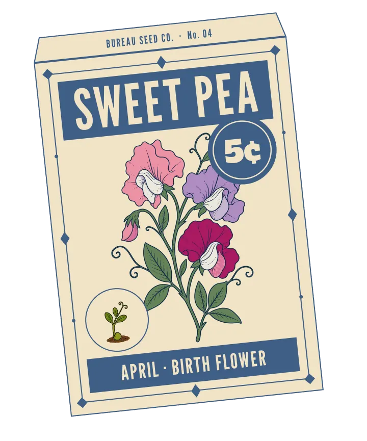 Print artwork: a cream paper seed packet at a slight tilt, with a thin slate blue border set with diamonds and dots, and BUREAU SEED CO. · No. 04 on its flap. SWEET PEA is printed in cream on a slate blue band at the top, beside a round slate blue seal reading 5¢. On the packet: a sprig of three ruffled sweet peas, pink, lavender and magenta, each with a white centre, plus a small pink bud, curling tendrils and oval leaves. In a small round frame at the lower left, a sprouting pea with a short shoot, two small leaves and a tendril. The bottom band reads APRIL · BIRTH FLOWER.