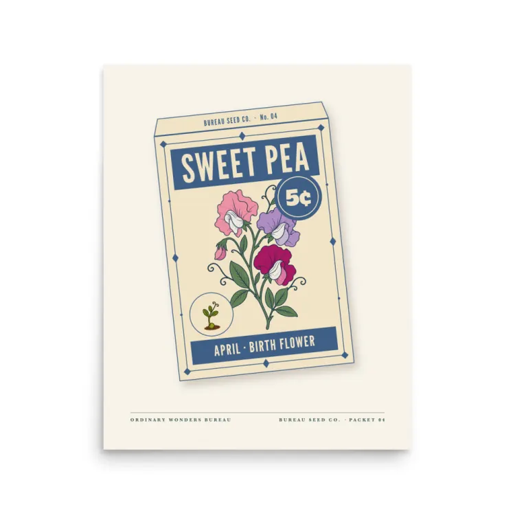 The April Sweet Pea Birth Flower Art Print in Unframed.