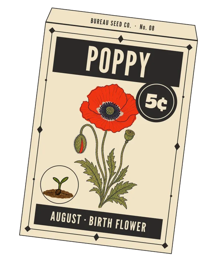 Print artwork: a cream paper seed packet at a slight tilt, with a thin near-black border set with diamonds and dots, and BUREAU SEED CO. · No. 08 on its flap. POPPY is printed in cream on a near-black band at the top, beside a round near-black seal reading 5¢. On the packet: one open red-orange poppy with a dark centre ringed in stamens, a hairy nodding bud just splitting red, and a round seed head, on curving stems over lobed, toothed leaves. In a small round frame at the lower left, a seedling with two leaves in a little soil. The bottom band reads AUGUST · BIRTH FLOWER.