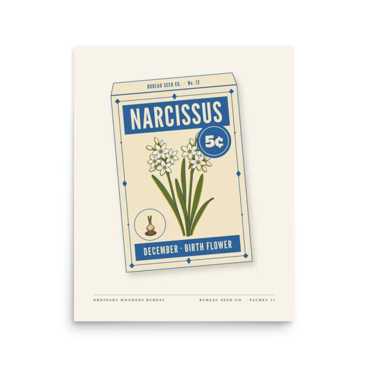 The December Narcissus Birth Flower Art Print in Unframed.