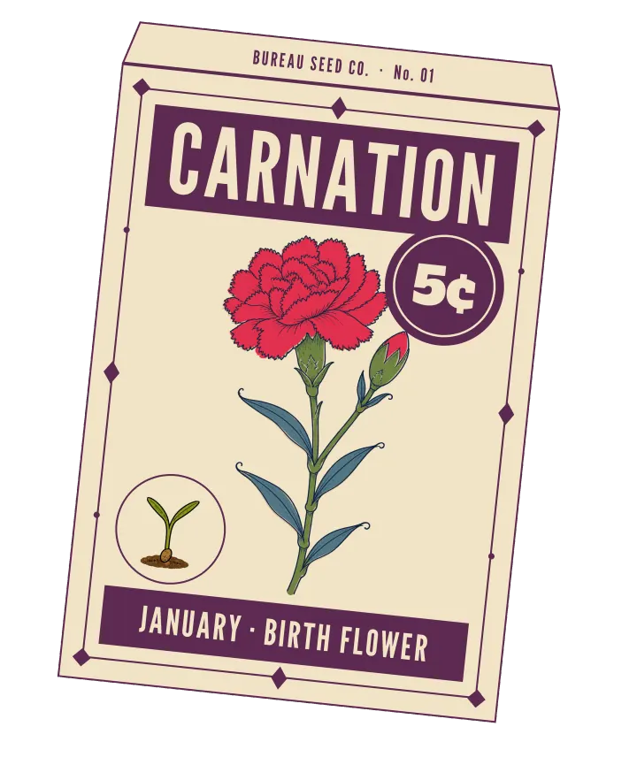 Print artwork: a cream paper seed packet at a slight tilt, with a thin plum border set with diamonds and dots, and BUREAU SEED CO. · No. 01 on its flap. CARNATION is printed in cream on a plum band at the top, beside a round plum seal reading 5¢. On the packet: one red carnation with fringed, ruffled petals and a bud with a red tip, on a jointed green stem with narrow blue-grey leaves in pairs. In a small round frame at the lower left, a seedling with two leaves in a little soil. The bottom band reads JANUARY · BIRTH FLOWER.