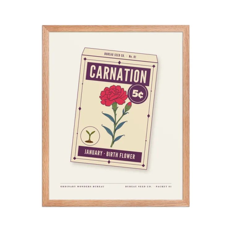 The January Carnation Birth Flower Framed Print in Red Oak.