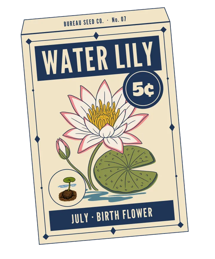 Print artwork: a cream paper seed packet at a slight tilt, with a thin navy border set with diamonds and dots, and BUREAU SEED CO. · No. 07 on its flap. WATER LILY is printed in cream on a navy band at the top, beside a round navy seal reading 5¢. On the packet: one open water lily with white petals edged in pink and a golden centre, a closed pink-tipped bud on its own stem, a round green lily pad, and a ripple of blue water beneath. In a small round frame at the lower left, a small round leaf on a stem rising from a lump of mud under a line of water. The bottom band reads JULY · BIRTH FLOWER.