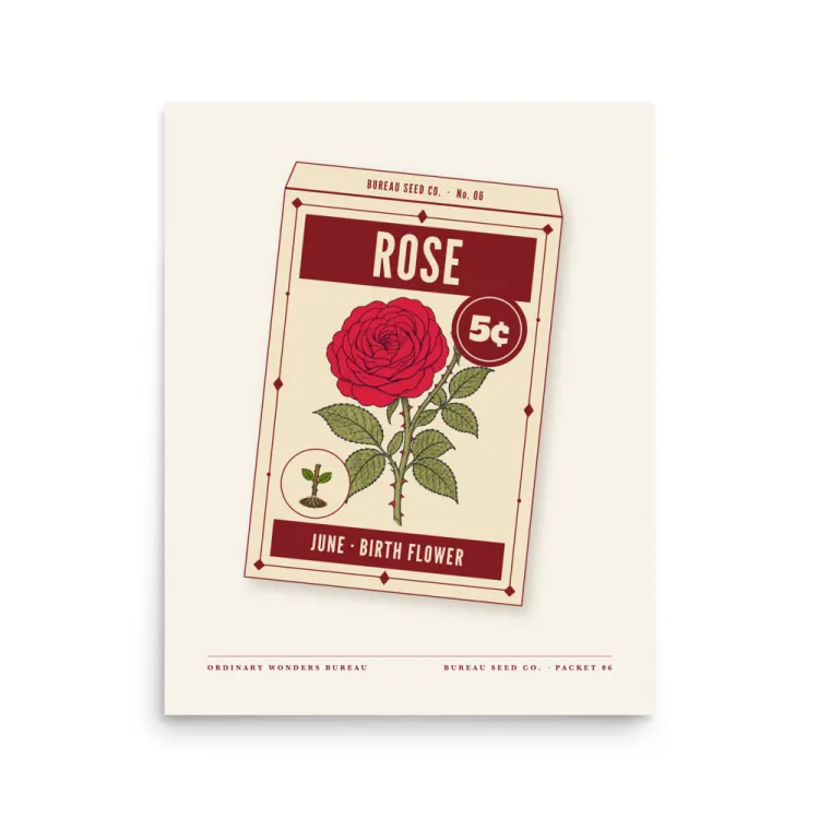 The June Rose Birth Flower Art Print in Unframed.