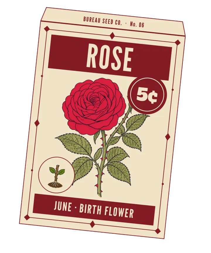 Print artwork: a cream paper seed packet at a slight tilt, with a thin oxblood border set with diamonds and dots, and BUREAU SEED CO. · No. 06 on its flap. ROSE is printed in cream on an oxblood band at the top, beside a round oxblood seal reading 5¢. On the packet: one deep red rose, full and many-petalled, on a thorny stem with serrated green leaves. In a small round frame at the lower left, a rooted cutting: a short stem with two leaves and a tuft of roots. The bottom band reads JUNE · BIRTH FLOWER.