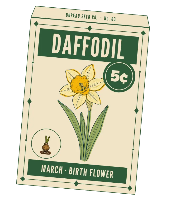 Print artwork: a cream paper seed packet at a slight tilt, with a thin forest green border set with diamonds and dots, and BUREAU SEED CO. · No. 03 on its flap. DAFFODIL is printed in cream on a forest green band at the top, beside a round forest green seal reading 5¢. On the packet: one daffodil with pale cream petals and a ruffled golden trumpet, on a tall stem between long strap-shaped leaves. In a small round frame at the lower left, a bulb with roots and two green shoots. The bottom band reads MARCH · BIRTH FLOWER.