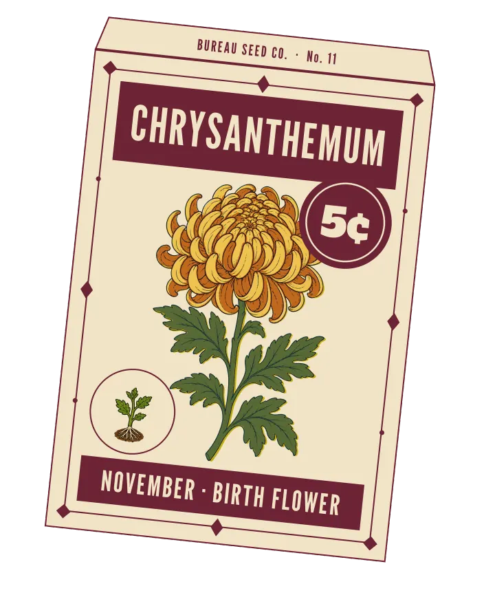 Print artwork: a cream paper seed packet at a slight tilt, with a thin wine border set with diamonds and dots, and BUREAU SEED CO. · No. 11 on its flap. CHRYSANTHEMUM is printed in cream on a wine band at the top, beside a round wine seal reading 5¢. On the packet: one large chrysanthemum with gold and bronze petals curling inward into a globe, on a stem with deeply lobed green leaves. In a small round frame at the lower left, a rooted cutting with small lobed leaves. The bottom band reads NOVEMBER · BIRTH FLOWER.