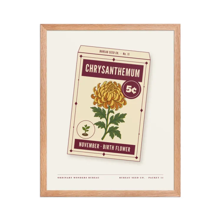 The November Chrysanthemum Birth Flower Framed Print in Red Oak.