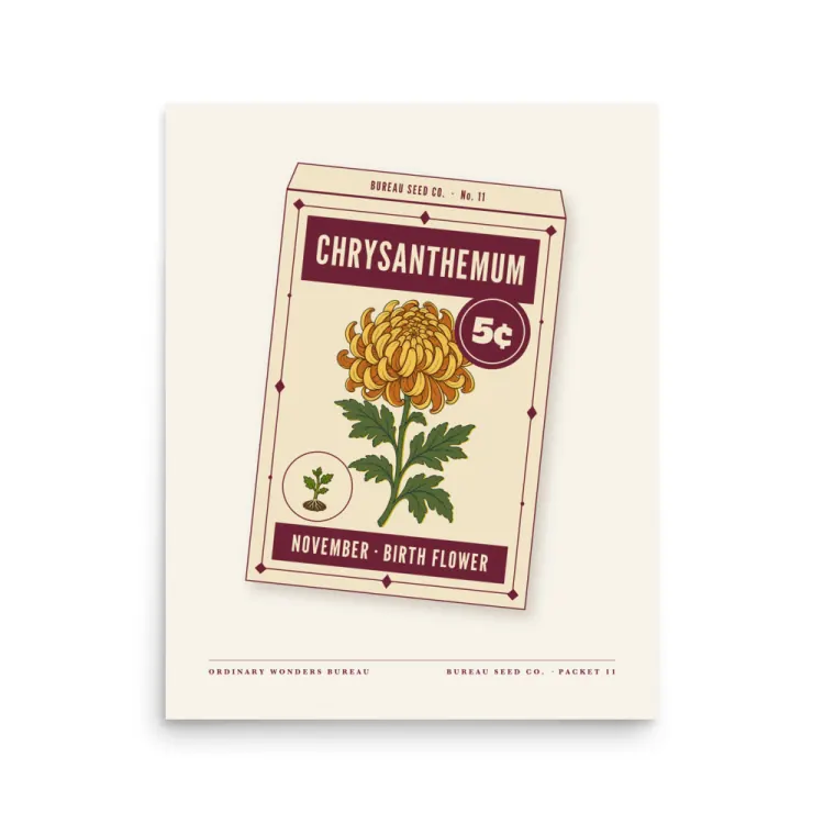 The November Chrysanthemum Birth Flower Art Print in Unframed.