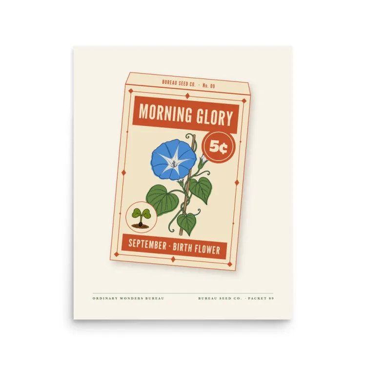 The September Morning Glory Birth Flower Art Print in Unframed.