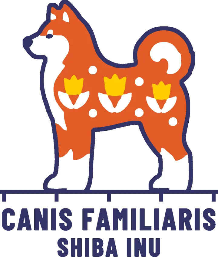 Embroidery artwork: an orange Shiba Inu standing in side profile, facing left, with small upright ears, white cheeks, chest and lower legs, and its tail curled up over its back. Three gold tulips on white leaves and a few white dots sit on its orange coat, and the dog is outlined in navy. It stands on a navy measuring rule over the words CANIS FAMILIARIS and SHIBA INU.