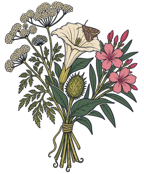 The print on the chosen shirt color, at its printed size.