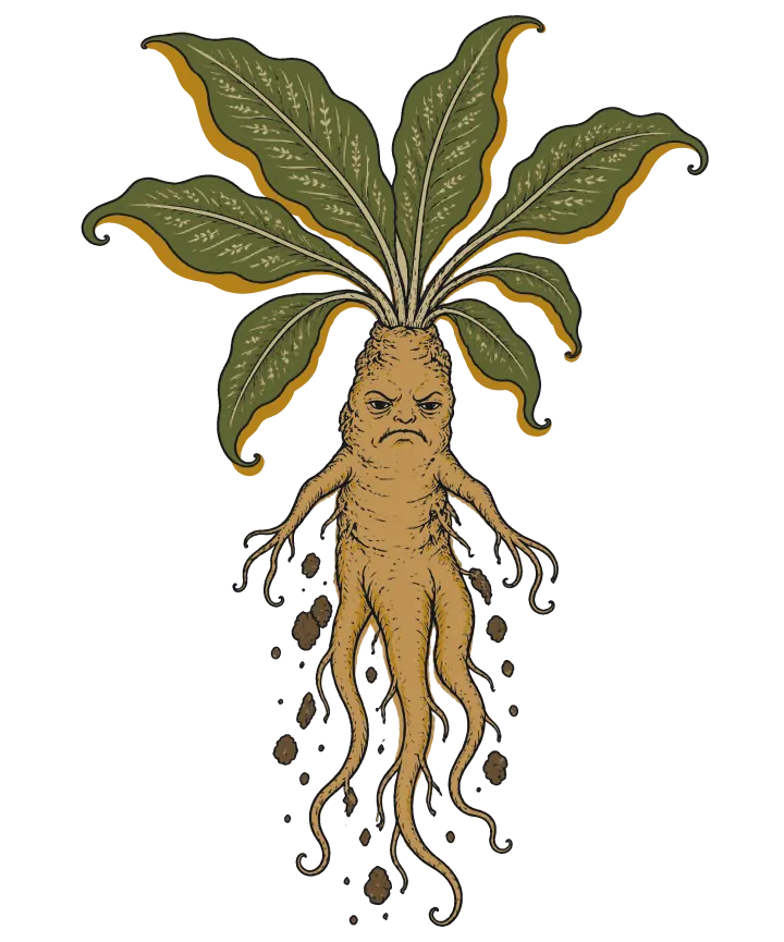 Print artwork: a mandrake plant pulled up out of the ground, its tan root shaped like a small grumpy person with a scowling face, little arms and long trailing root legs. Big green leaves fan out from its head and clumps of brown soil fall away around it.