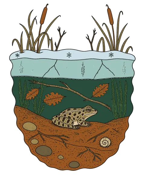 The print on the chosen shirt color, at its printed size.